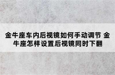 金牛座车内后视镜如何手动调节 金牛座怎样设置后视镜同时下翻